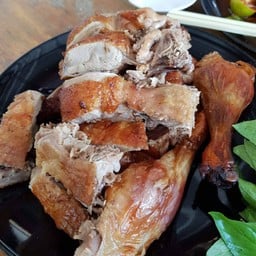 เป็ดครึ่งตัว