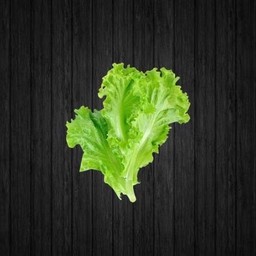 คุณนายดอง