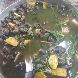 อ่อมหอย