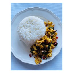 กระเพาะไข่