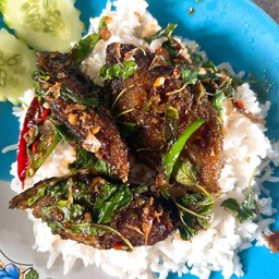 กะเพราะปลาดุก