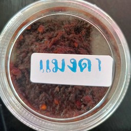 แมงดาเปียก (กระปุก)