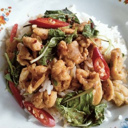 กะเพราไก่ราดข้าว