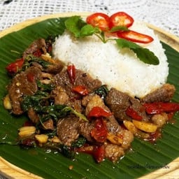 กะเพราอไลฟ์