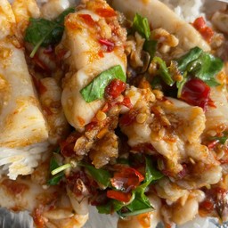 ข้าวราดกะเพราไข่หมึก