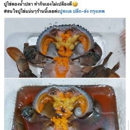 รุต ปูทะเล delivery