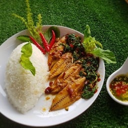ข้าวกระเพราปลาทู พริกแห้งรสจัดจ้านหอมอร่อย