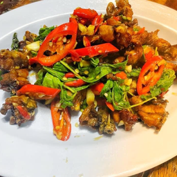 ผัดเผ็ดกบ.(เป็นกับ)