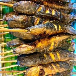 ปลาดุกย่าง