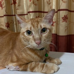 น้องส้มจีี๊ด