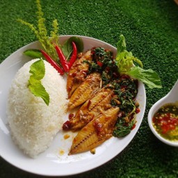 ข้าวกระเพราปลาทูพริกแห้งรสจัดจ้านหอมอร่อย