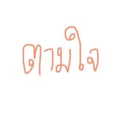 ชุดตามใจ ( เลือกได้ตามใจได้ 3 อย่าง )