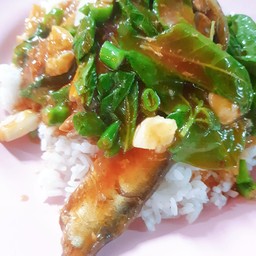 ผัดกระเพราปลากระป๋องราดข้ว