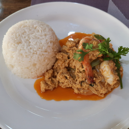 ข้าวราดหมึกผัดผงกะหรี่