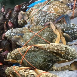 ส้มตำ ยำมะม่วง (ในตลาดบางมด)