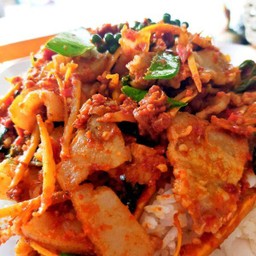 ผัดเผ็ดหมูป่าราดข้าว