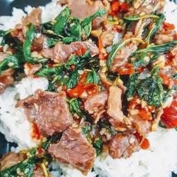 กระเพราเนื้อ ราดข้าว