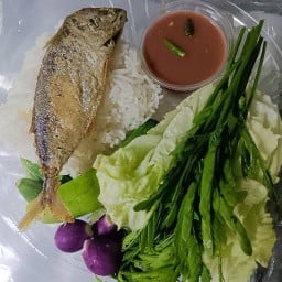 ข้าว น้ำพริก ปลาทู ไข่เจียว ร้านนิวนิว