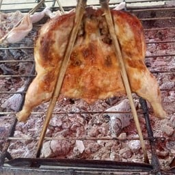 มดตะนอย ไก่ย่างวิเชียรบุรี  -