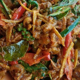 ผัดเผ็ดหมูป่าราดข้าว