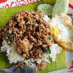 ผัดกะเพราหมูราดข้าว