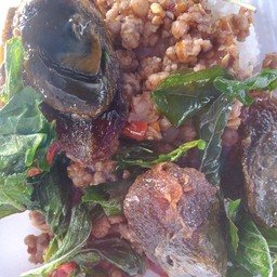 กระเพราไข่เยี่ยวม้าหมูสับ