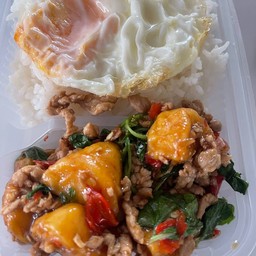 ข้าวราดกระเพราเต้าหู้หมูสับ+ไข่ดาว