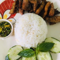 ไอเกลอ คาเฟ่