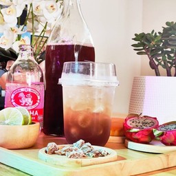 ใต้ต้นบ๊วย  Kombucha น้ำบ๊วยไซเดอร์ พร้อมชาหมักและเนื้อบ๊วย