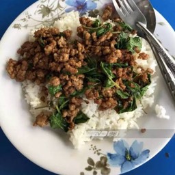 ผัดกระเพราหมูสับไม่ไส่พริกฟรีไข่ดาว