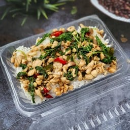 กะเพราไก่สับราดข้าว