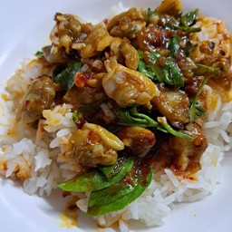 ข้าวหอยลาย ผัดพริกเผา