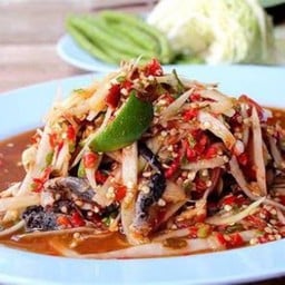 กระเพราน้องปั้มตังค์49