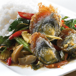 ผัดกระเพราไข่เยี่ยวม้า (กับ)