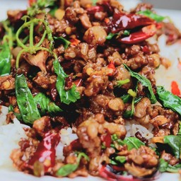 กระเพราเนื้อสับ ราดข้าว