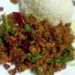 ผัดกระเพรา พริกแห้ง ราดข้าว