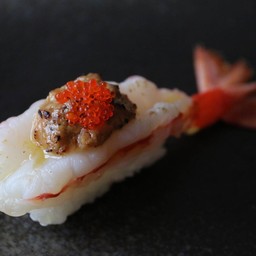 กุ้งโบตั๋นท๊อปโฟกา