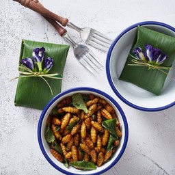 ดักแด้สมุนไพร