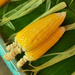 อ้อข้าวโพดต้ม(ตลาดนัดบ้านเพ)