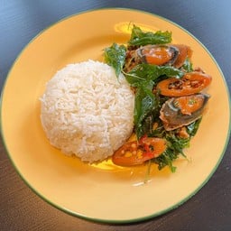 ข้าวกะเพราไข่เยี่ยวม้า