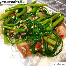ผักบุ้งหมูกรอบราดข้าว