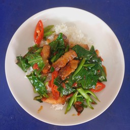 ผัดชีอิ๋วหมู70