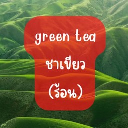 ชาเขียว(ร้อน)