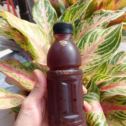 น้ำชาดำเย็น