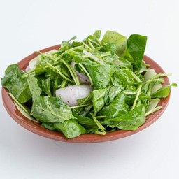 สลัดร๊อกเก๊ต