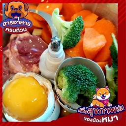 Snow BARF  ตลิ่งชัน