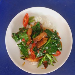 ข้าวราดคะน้าหมูกรอบ80