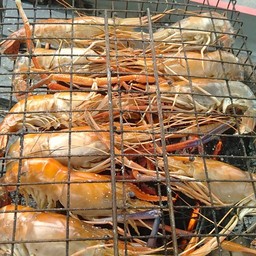 กุ้งแม่น้ำเผา ขนาด 10-11ตัวโล
