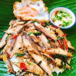เซียนกะเพรา  ถนนต้นสน