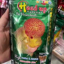 OKIKO Head Up หมอสี -M (100g)